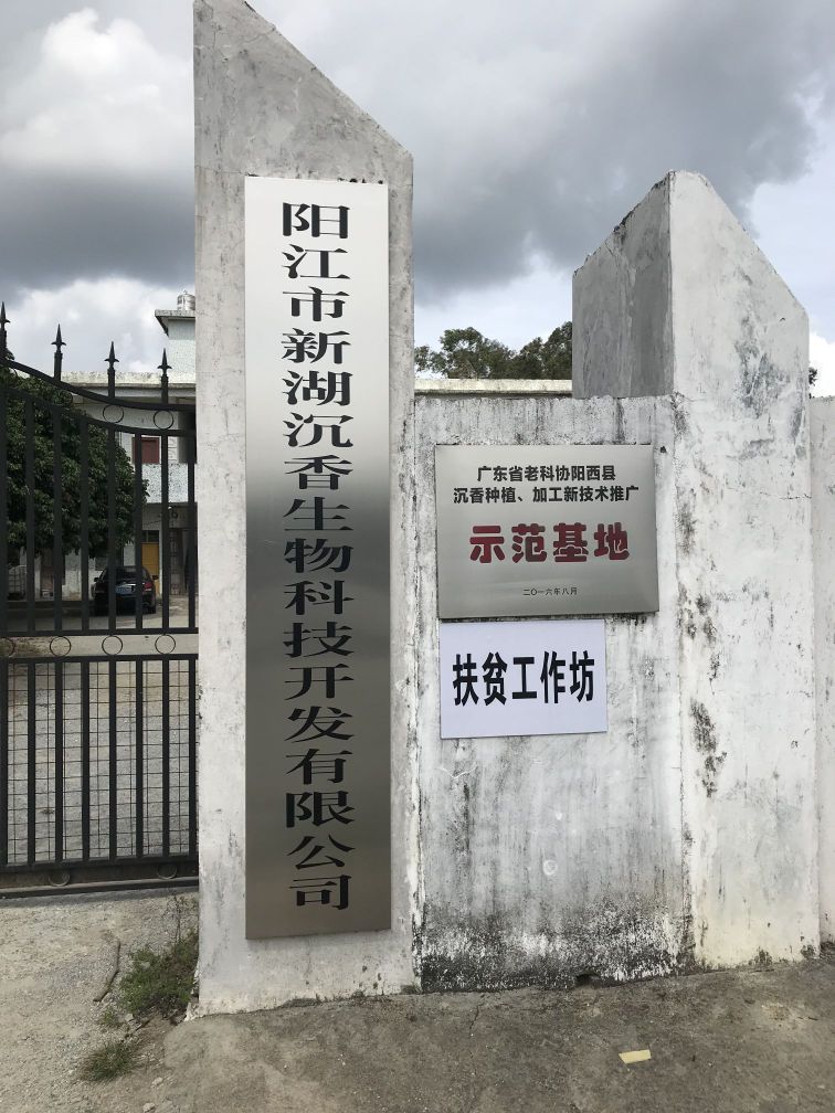 广东省阳江市阳西县程村镇莲湖村委会大湴仔村(莲湖小学)