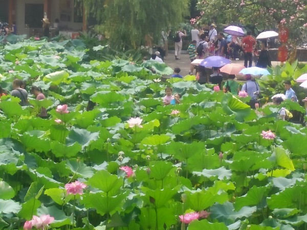 莲花山旅游区-售票处