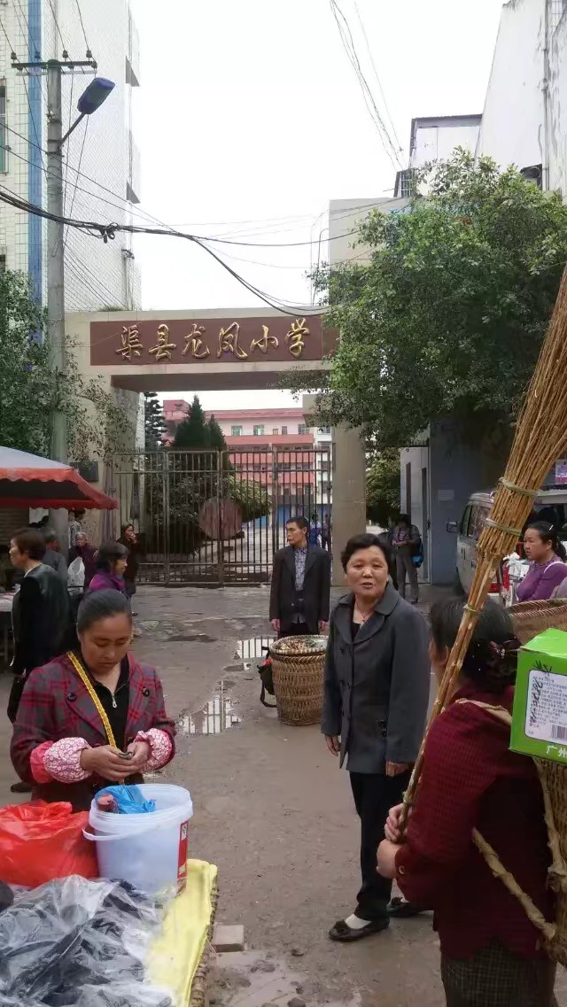 黃渡村地名網_四川省達州市渠縣龍鳳鎮黃渡村資料簡介