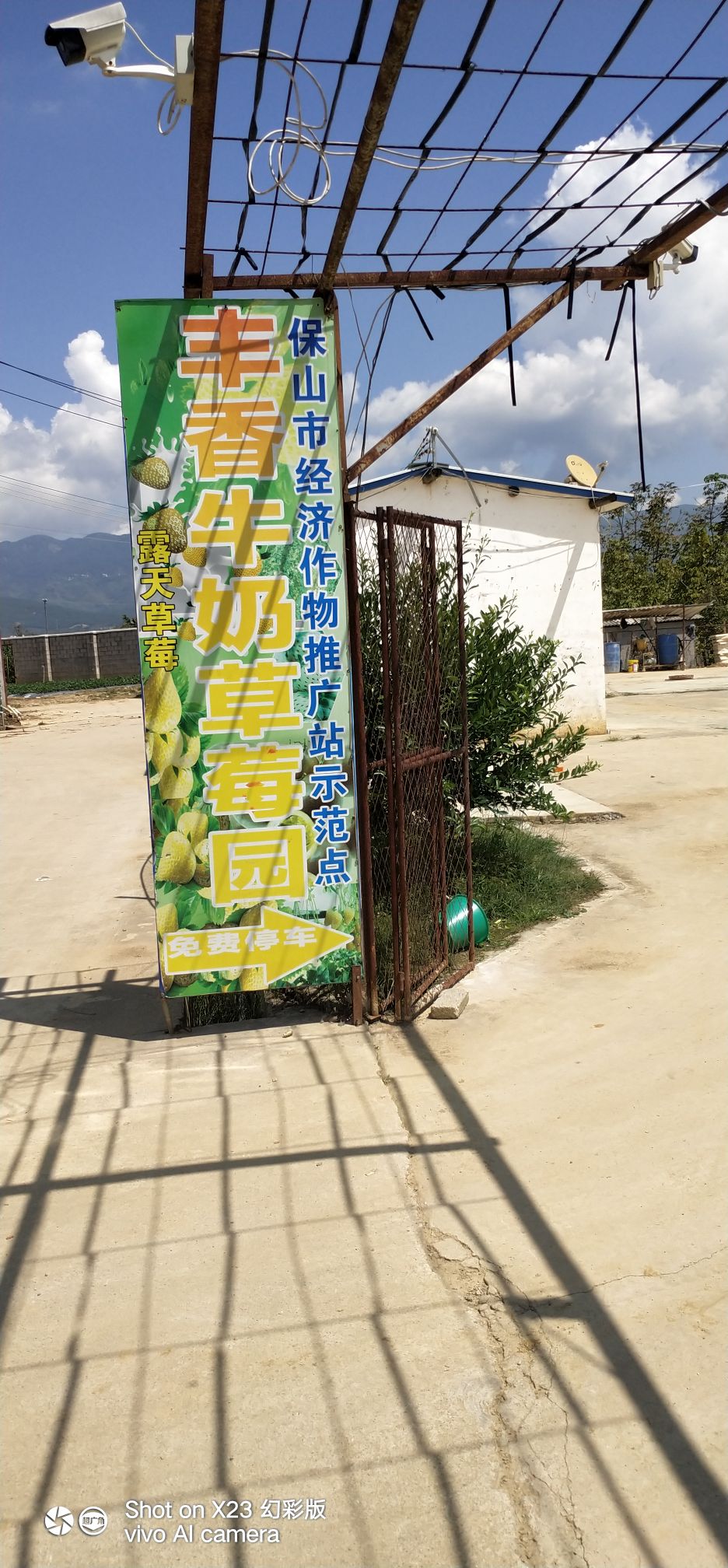 丰香牛奶草莓园园