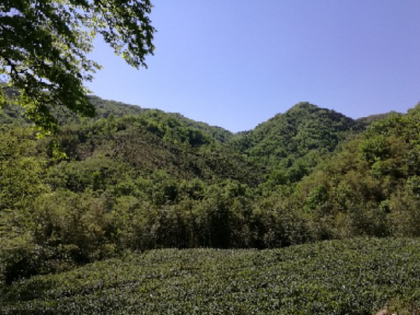 信阳市浉河区