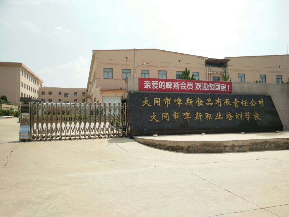 大同市啤斯职业培训学校