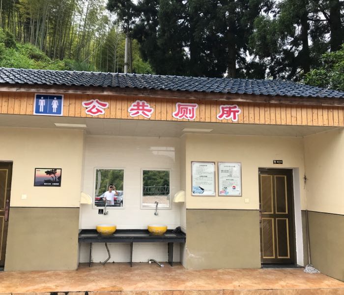 丽水市遂昌县遂昌高坪茶树坪村桃源山居民宿东南侧约200米