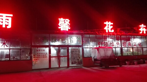 雨馨花卉