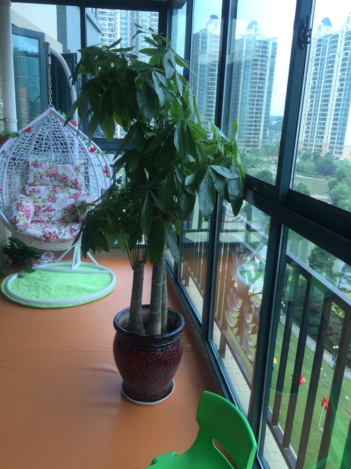 天才贝贝乐高创意园(恒大店)