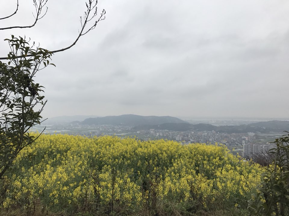 温州市乐清市