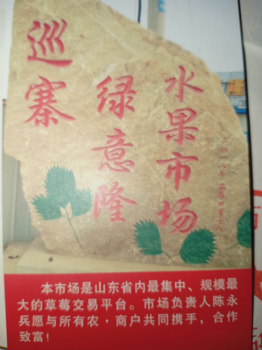 青岛绿意隆水果专业合作社