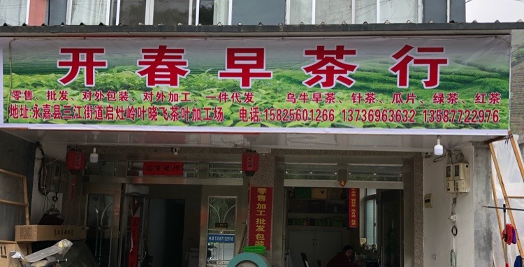 永嘉县三江街道开春早茶行