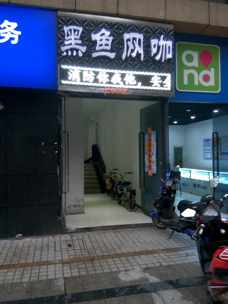 黑鱼王卡