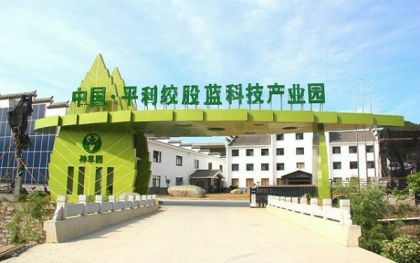 中国平利绞股蓝科技产业园