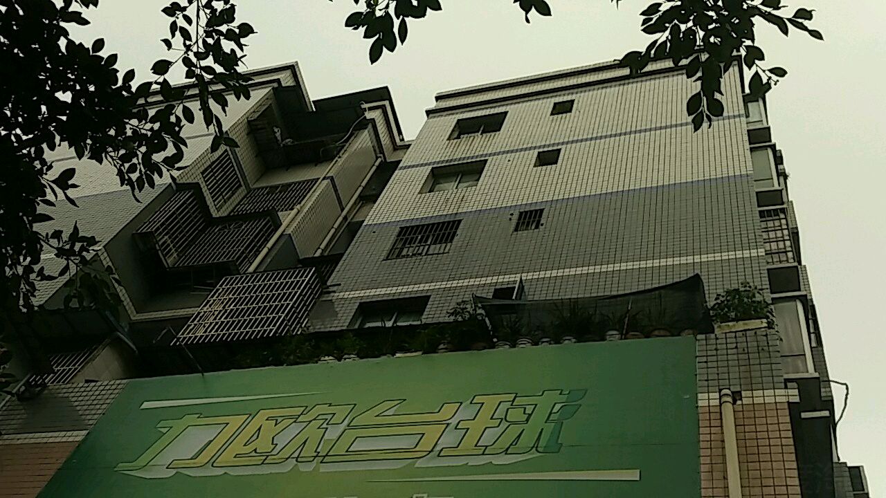 力欧台球俱乐部(百成街店)
