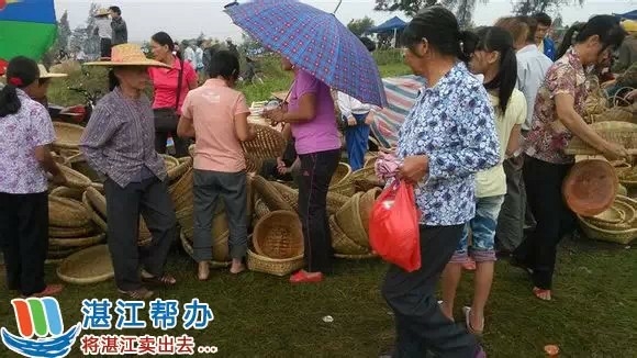 广东省湛江市雷州市杨家镇