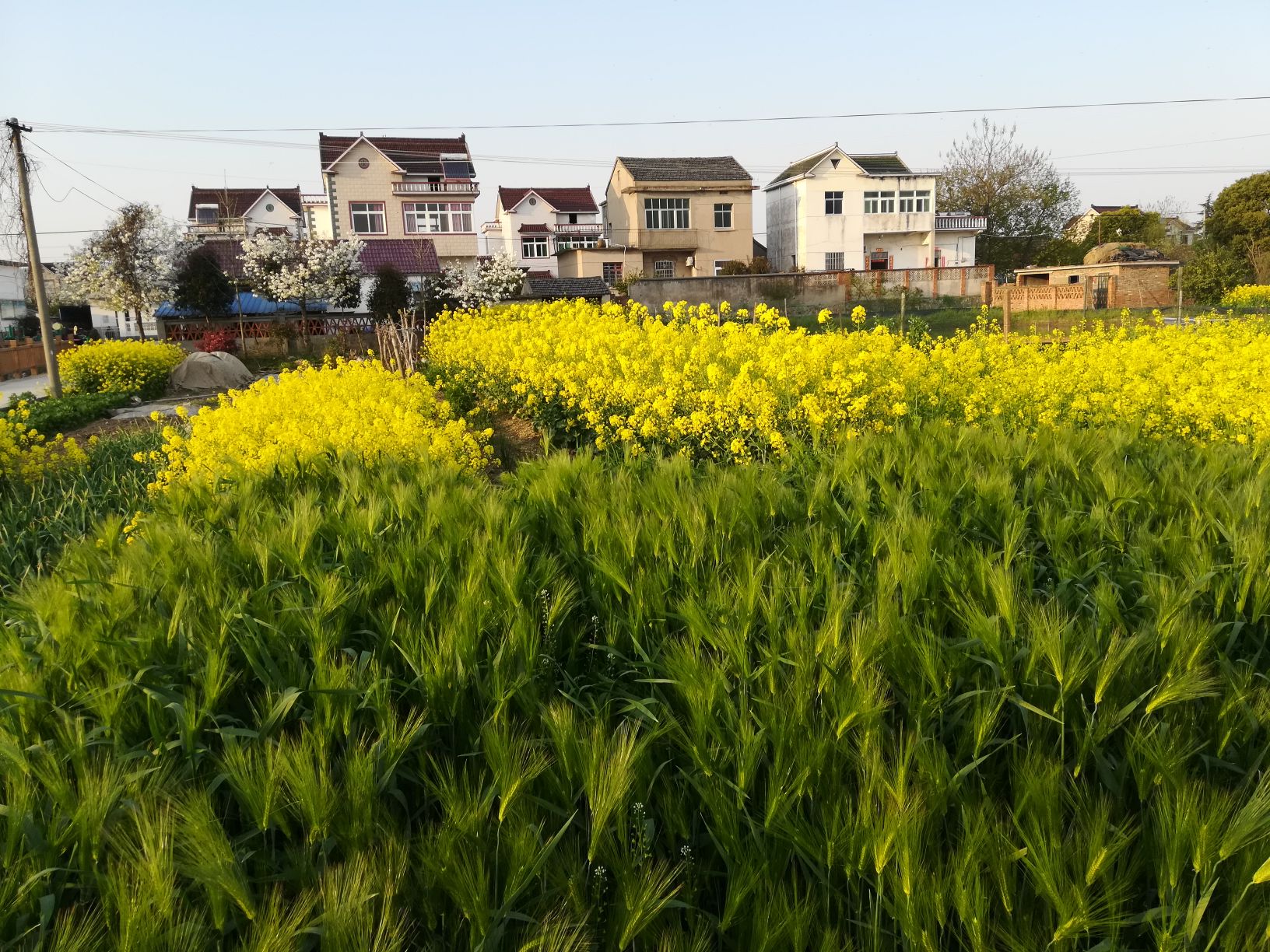 马鞍山市当涂县