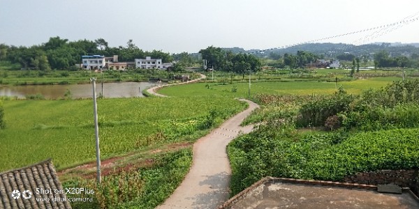 四川省自贡市富顺县