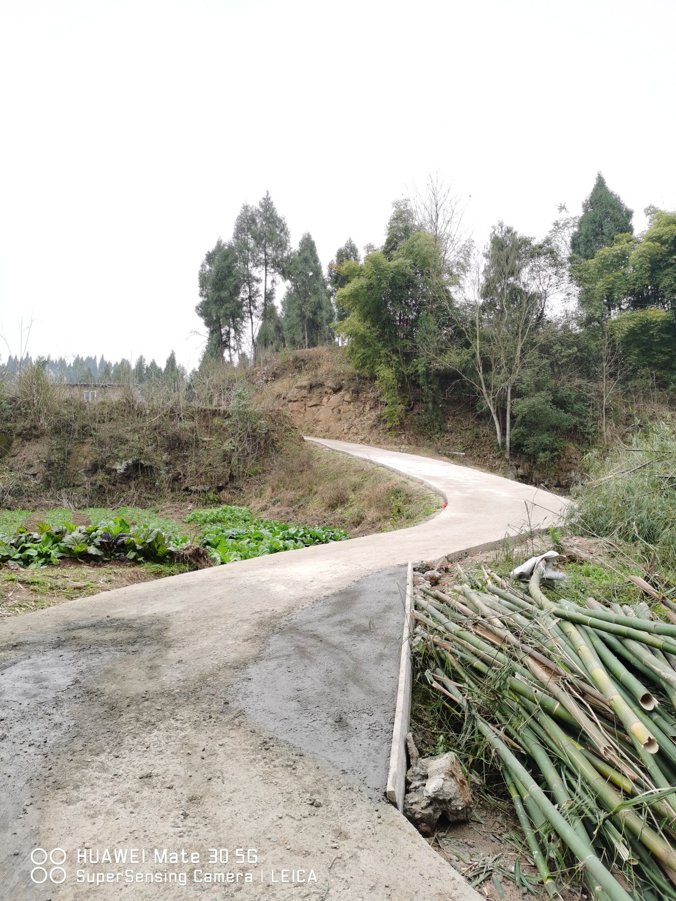 南充市仪陇县潆马路