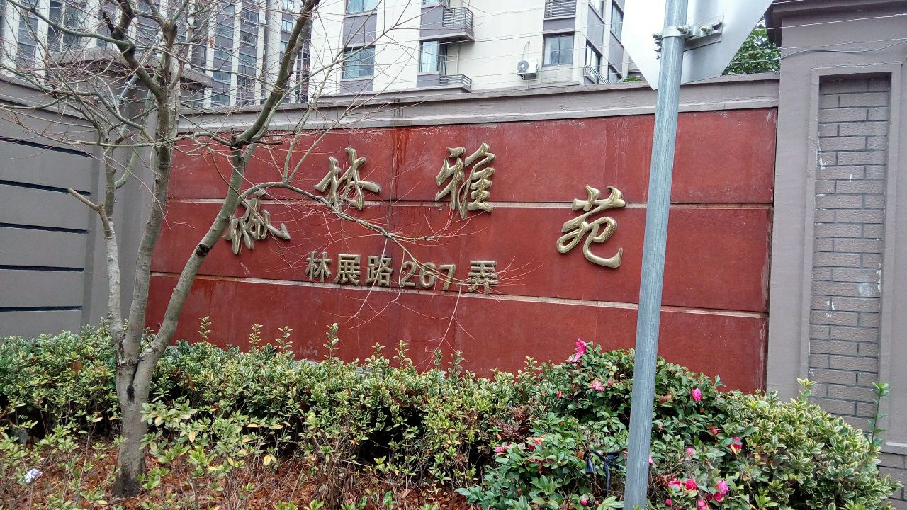 上海市浦东新区林展路与懿行路交叉路口向北约150米