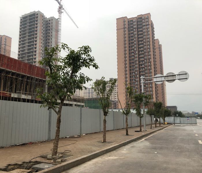 集美牡丹湖