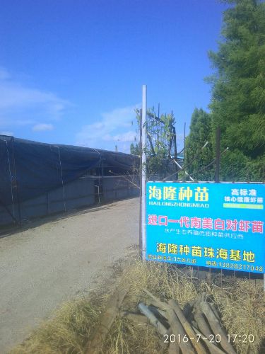 海隆种苗珠海基地