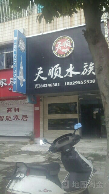天顺水族