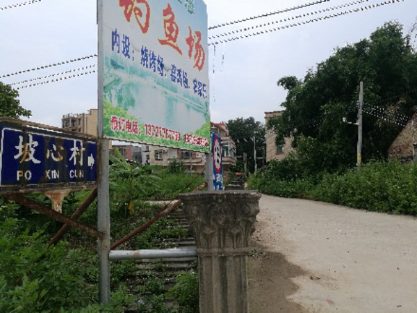 广东省茂名市高州市S280(高水公路)石仔岭街道办对面