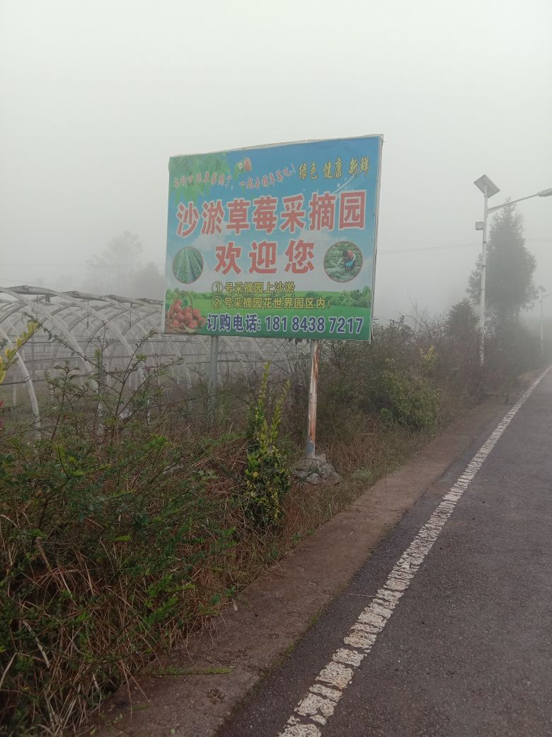 贵州省六盘水市盘州市沙淤村五组