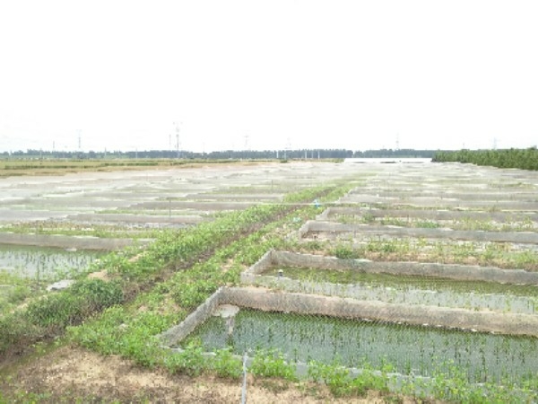 水里活生态养殖基地