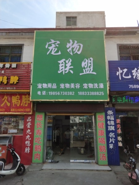 宠物联盟(宠物店)