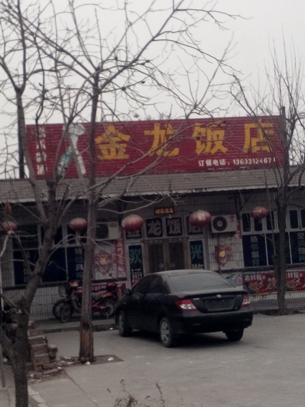 金龙饭店(唐县交通局运管站王京分站西南)