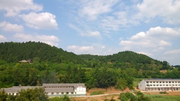 四川省绵阳市三台县北街28-2号