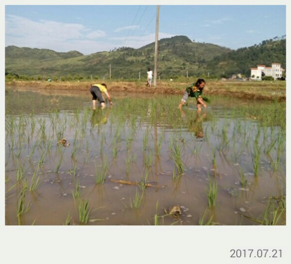 郴州市宜章县