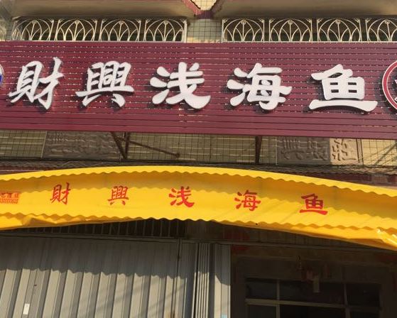 财型浅海鱼