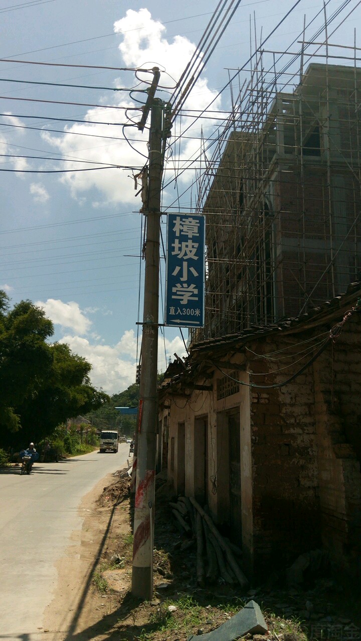 广东省茂名市信宜市国营红旗农场东镇竹山街道