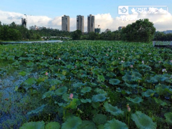 河南省南阳市桐柏县宏悦