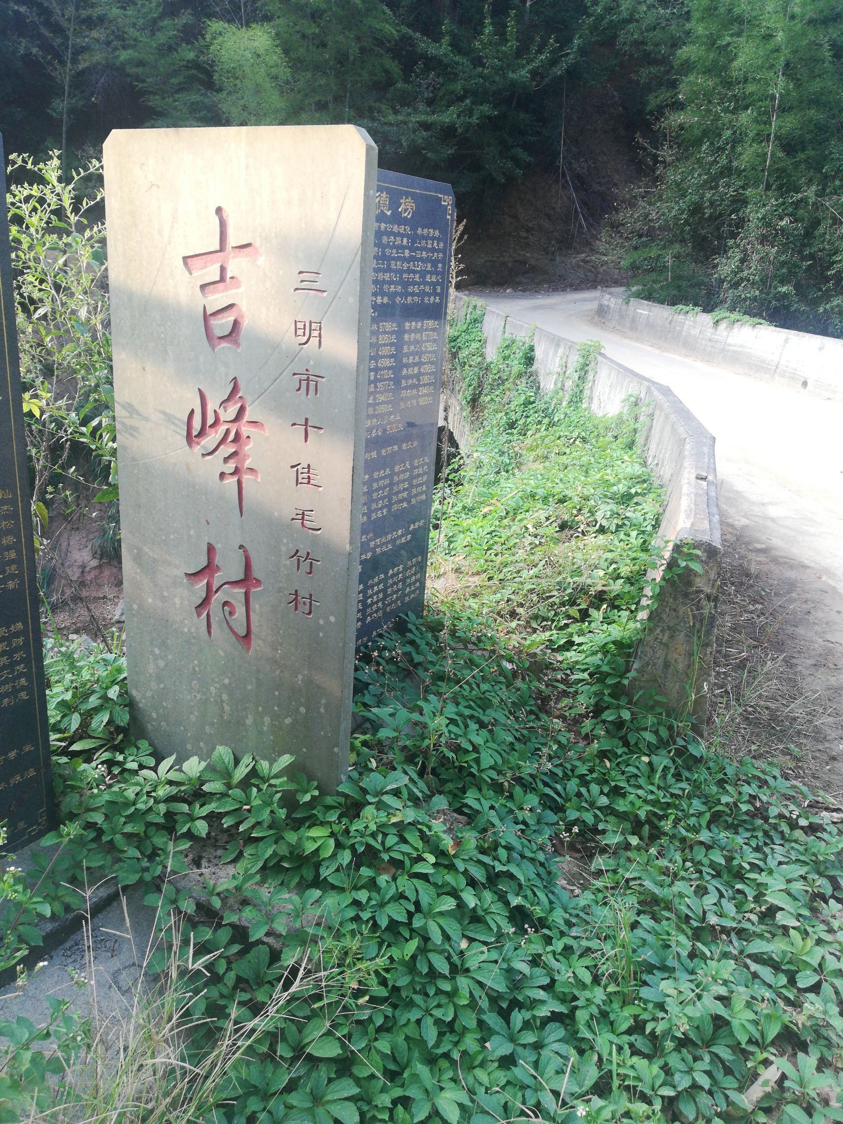 三明市三元区