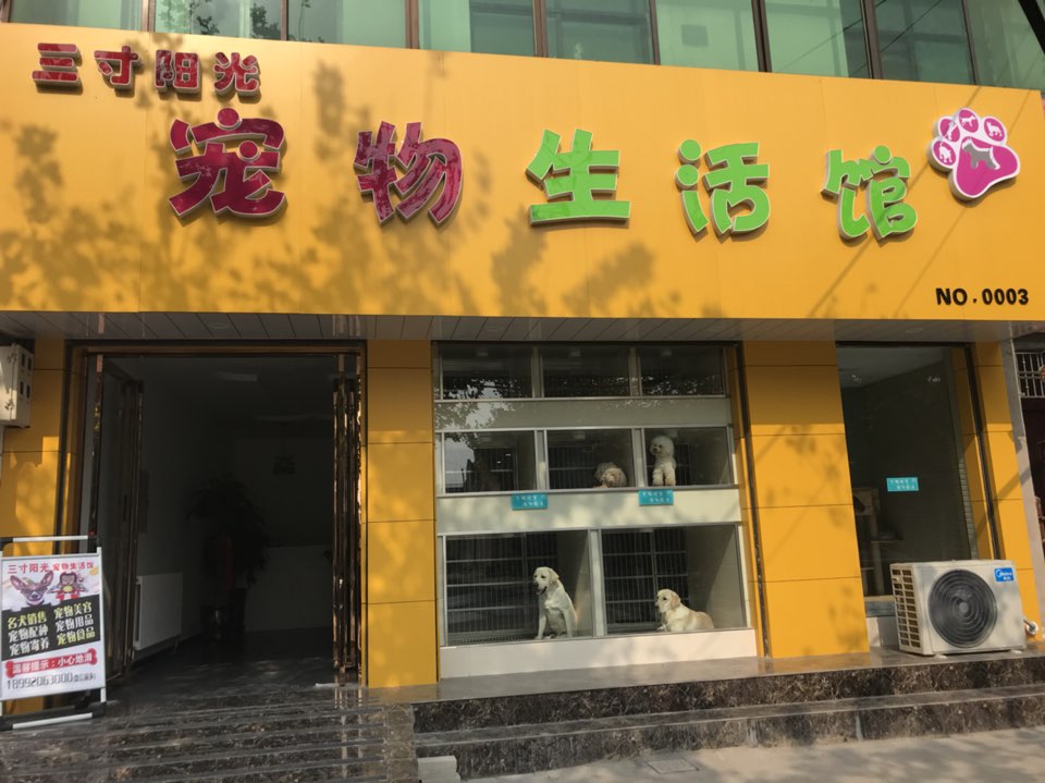 三寸阳光宠物生活馆(NO0003店)