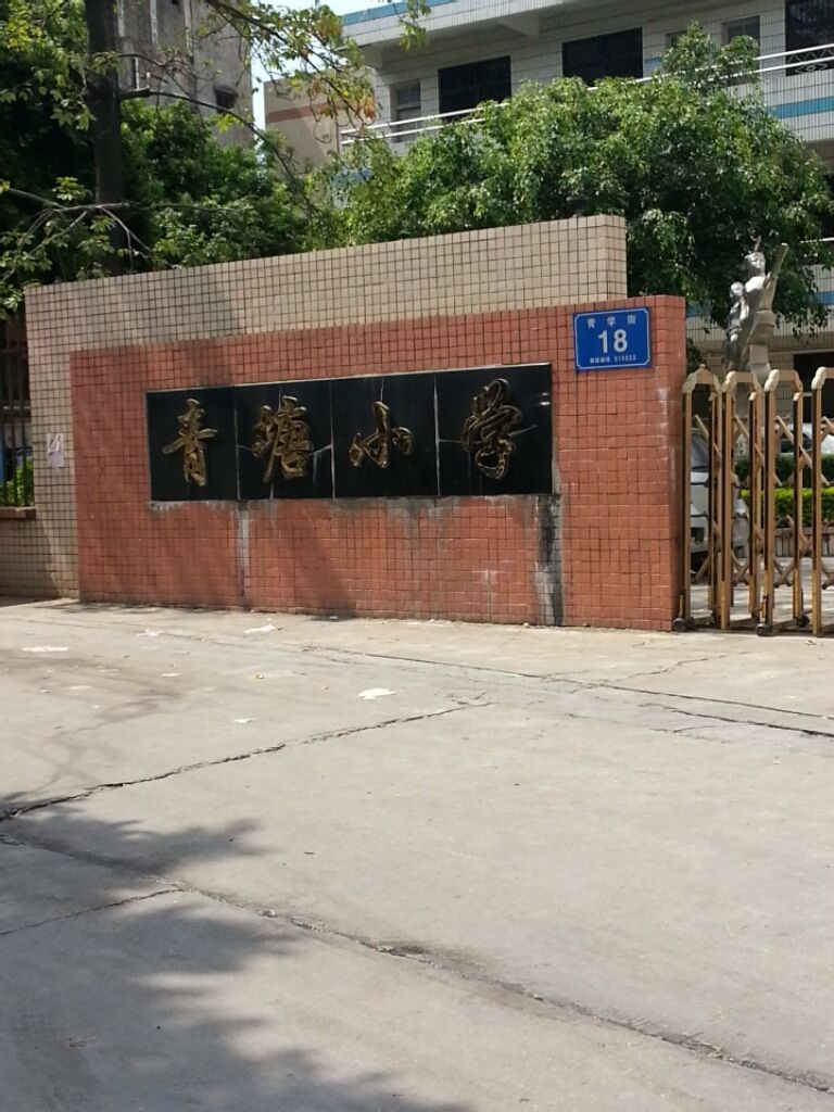 广东省惠州市惠城区小金口青塘村青学街18号
