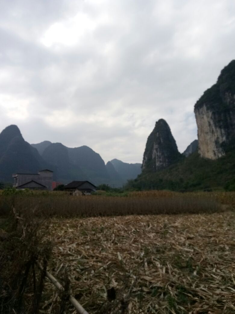 广西壮族自治区河池市都安瑶族自治县九如村