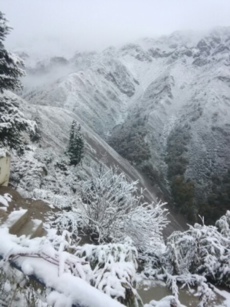 阿坝藏族羌族自治州九寨沟县