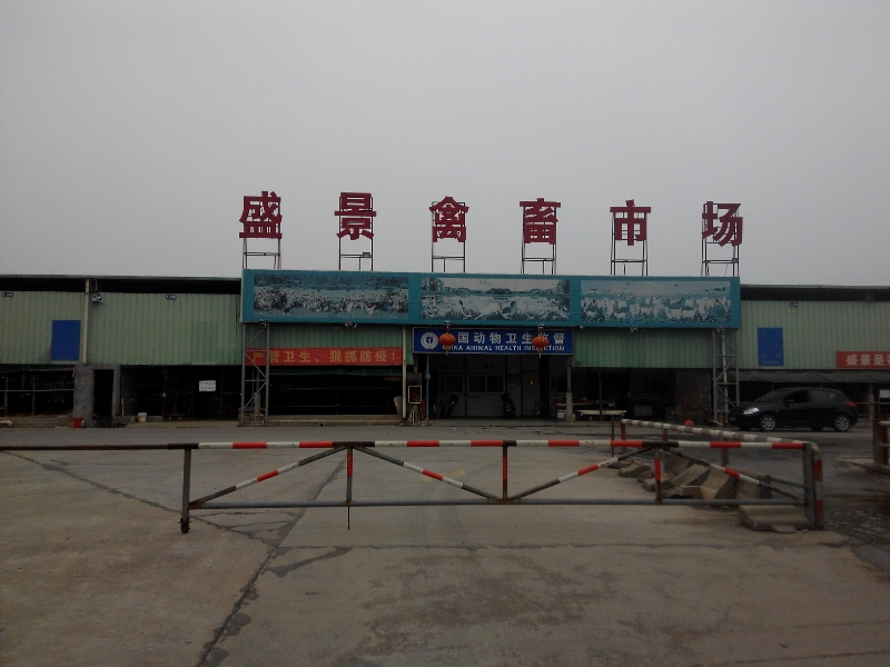 盛景禽畜市场