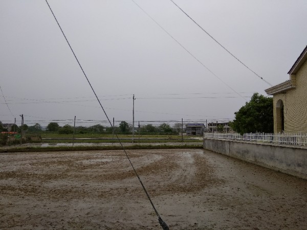 长沙市宁乡市