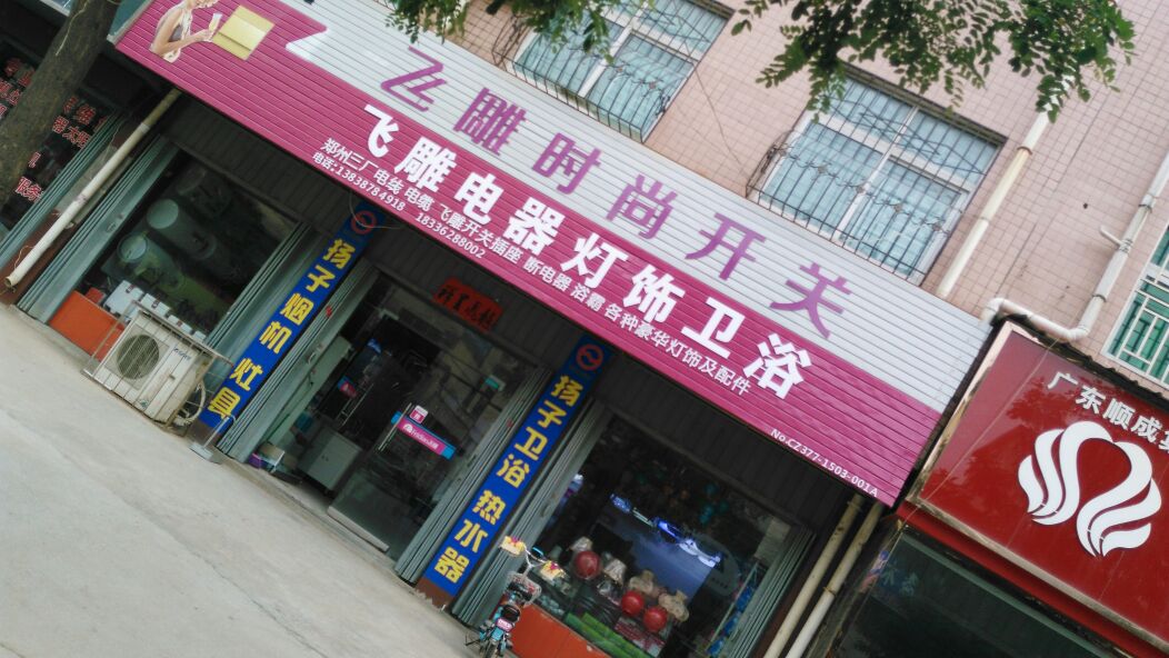 飞雕电器豪华灯饰(光明路店)