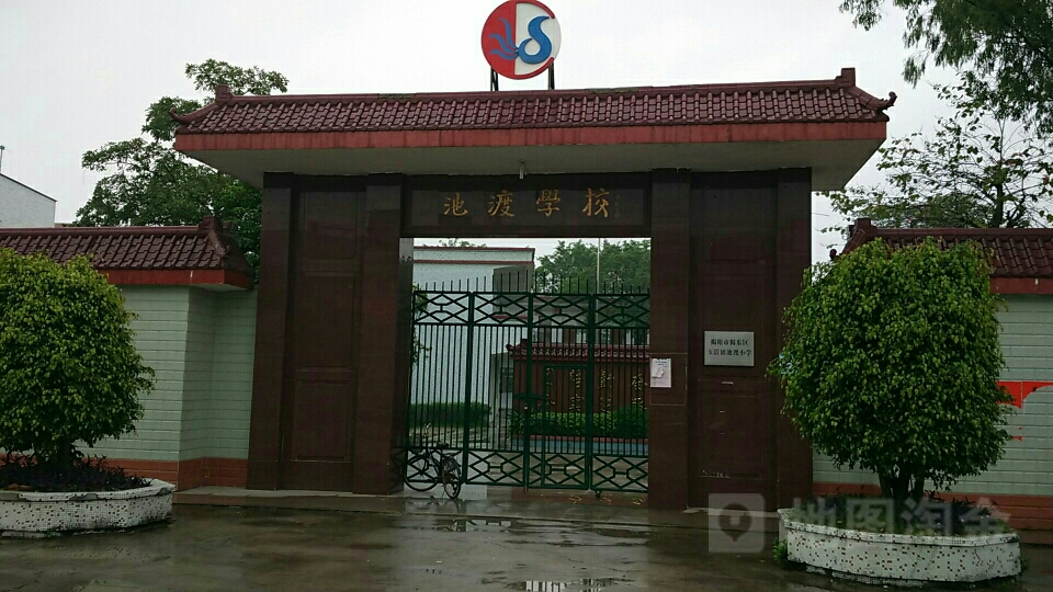 玉窖镇桥头小学图片