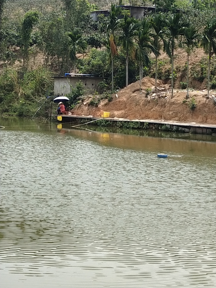 东宏垂钓场
