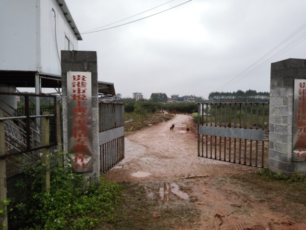 贵港市港南区新塘镇龙兰村上兰屯