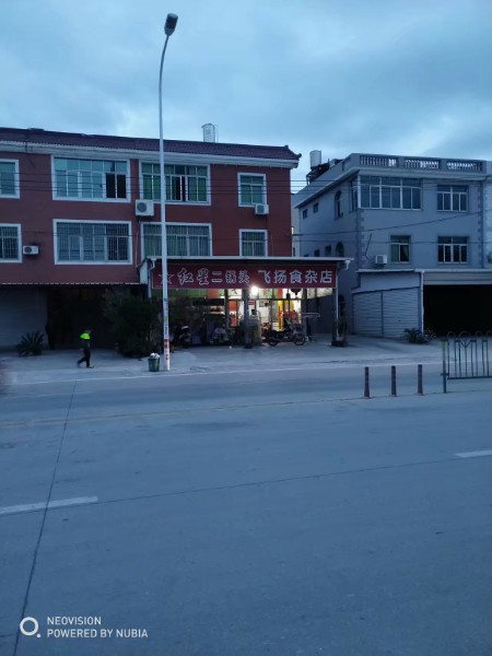 飞扬食杂店