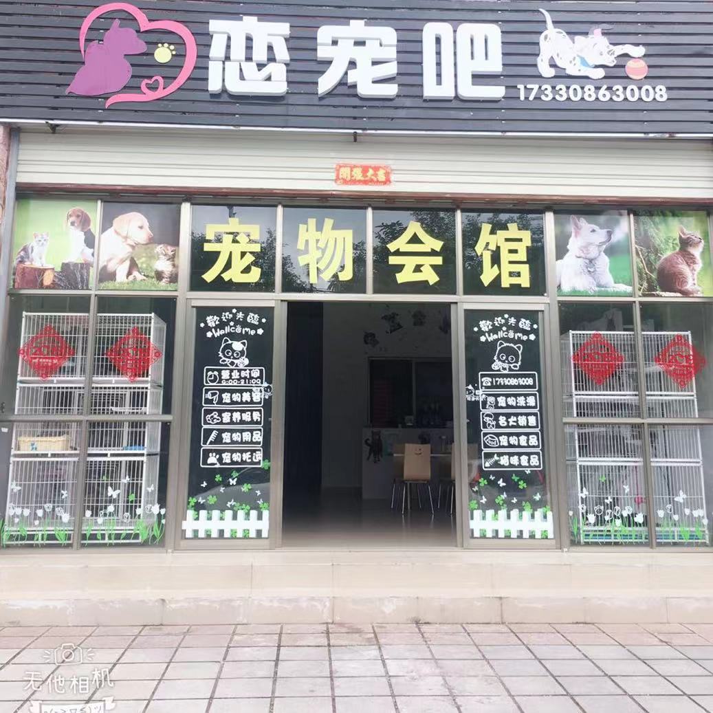 定安恋宠吧宠物店