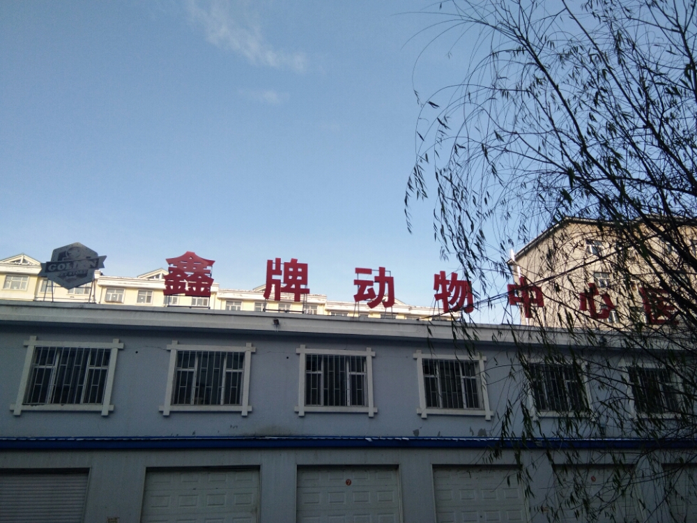 鸡西市鑫牌动物医院有限公司