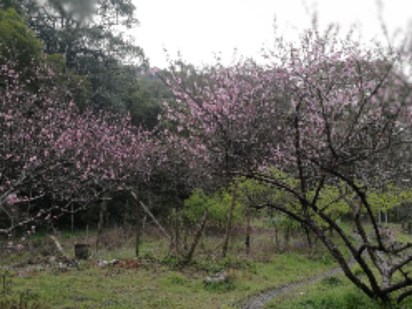 上饶市婺源县