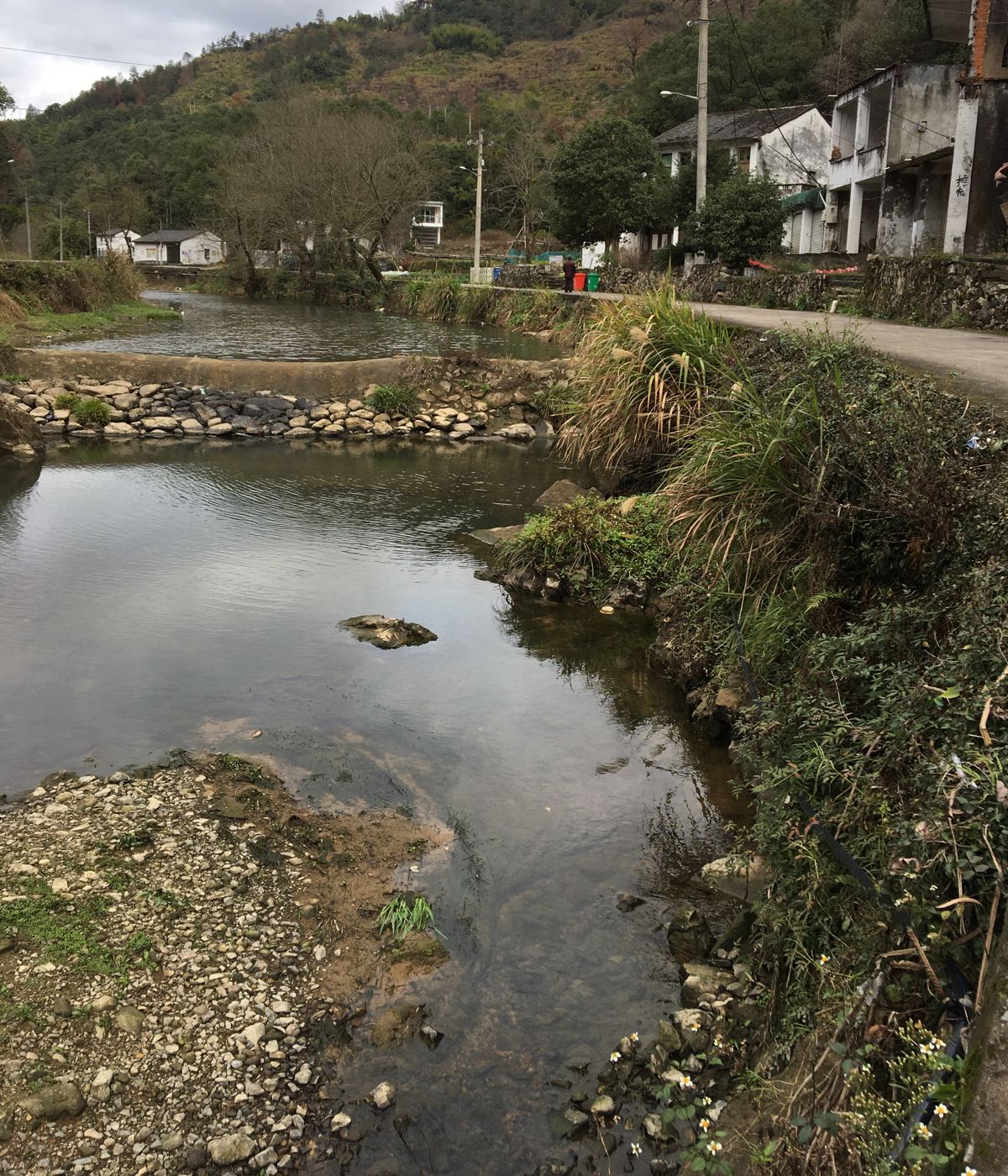 温州市平阳县