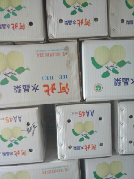 建峰水果批发部